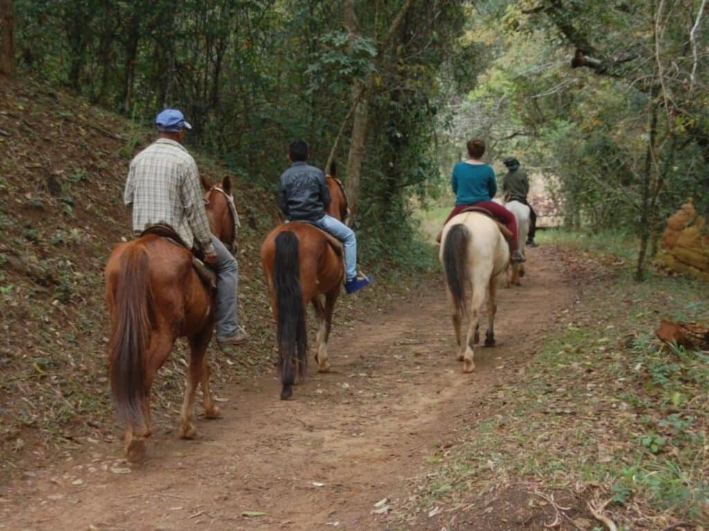 A imagem mostra quatro pessoas andando a cavalo por uma trilha em meio à natureza no Chalés de Minas Hotel Fazenda. O caminho de terra é cercado por árvores e vegetação densa, criando um ambiente tranquilo e arborizado. As pessoas estão de costas, vestindo roupas casuais, e os cavalos seguem em fila pela trilha. O cenário é típico de um passeio rural ou ecológico, com uma atmosfera calma e conectada à natureza, ideal para explorar a paisagem em um ritmo lento e contemplativo.