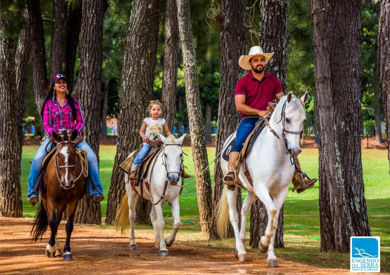 Dois adultos e uma criança estão cavalgando em um caminho arborizado no Engenho da Serra Hotel EcoResort. A criança está entre os dois adultos, cada um cavalgando um cavalo branco.