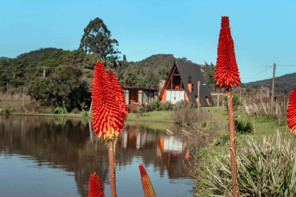 A foto mostra o exterior de uma cabana em estilo "A-frame", a Casa de Campo Santa Paulina, um dos chalés na Serra Catarinense, situada à beira de um lago tranquilo. No primeiro plano, destacam-se flores de cor vermelha vibrante que emolduram a cena, contrastando com o fundo natural e as cores suaves da cabana e da vegetação ao redor. A cabana reflete na água calma do lago, criando uma imagem serena e bucólica. Ao fundo, colinas e árvores complementam o cenário, trazendo uma sensação de paz e isolamento na natureza.