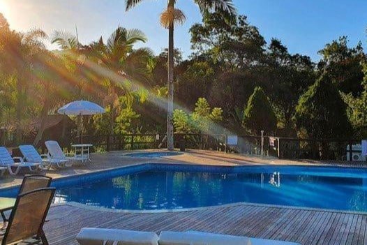 Uma piscina cercada por espreguiçadeiras, uma palmeira e árvores frondosas ao fundo, sob um céu azul claro na Fazenda dos Caetés, um dos hotéis fazenda em Santa Catarina.