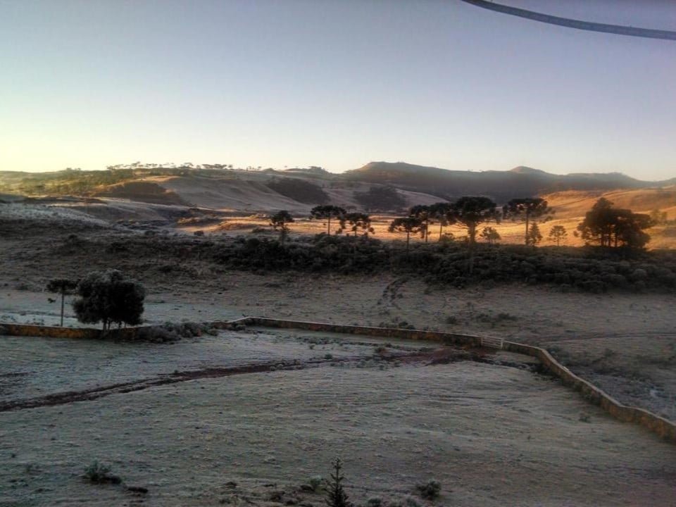 Uma paisagem gelada com colinas ondulantes, árvores esparsas e uma cerca sinuosa sob um céu claro ao nascer do sol no Hotel Fazenda Boutique Terra do Gelo, um dos hotéis fazenda em Santa Catarina.