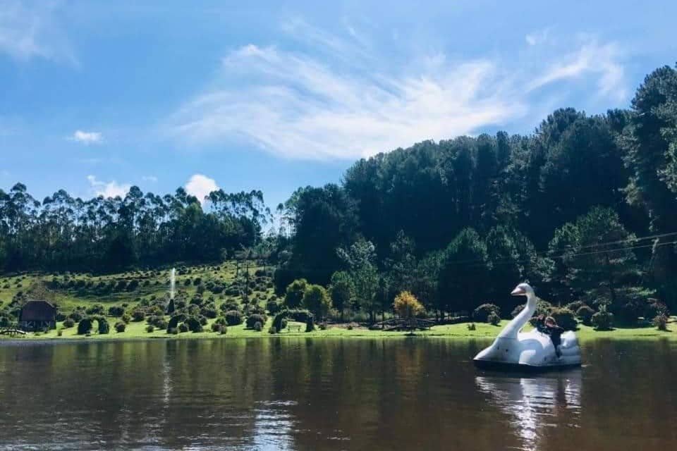Uma pessoa anda de pedalinho em formato de cisne em um lago cercado por árvores e uma paisagem gramada sob um céu parcialmente nublado no Hotel Fazenda Floresta Negra.