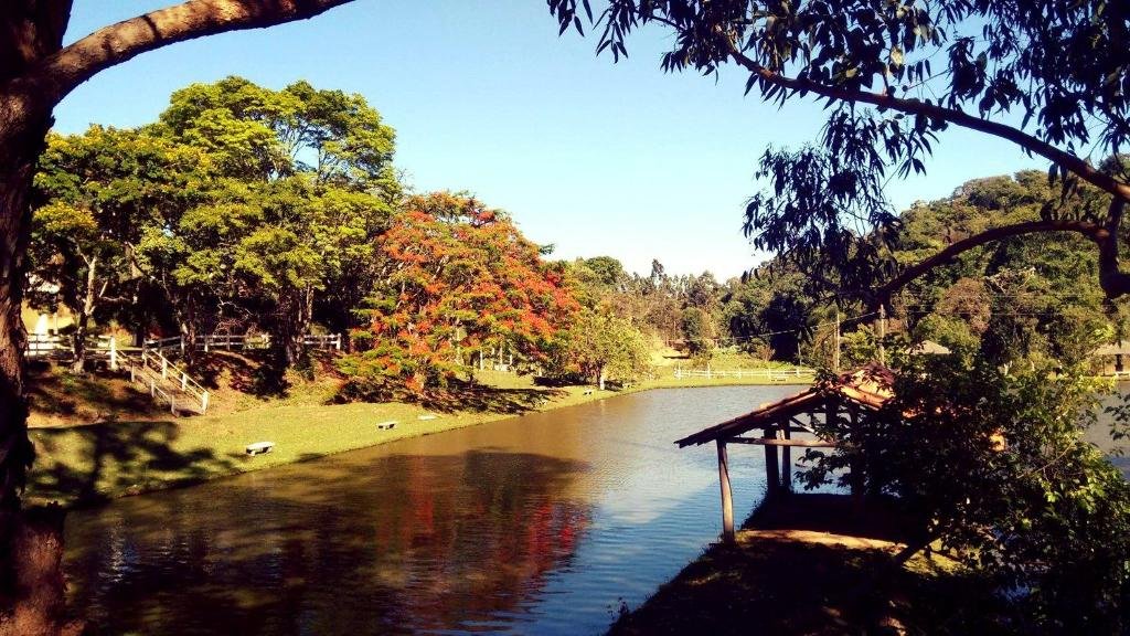 A imagem mostra um lago tranquilo cercado por árvores verdes e uma árvore com flores vermelhas vibrantes à margem. O reflexo das árvores e da vegetação é visível na água calma. Há um pequeno deque coberto com telhas vermelhas à direita, estendendo-se sobre o lago. No fundo, pode-se ver mais árvores e uma cerca de madeira branca, sugerindo um ambiente de parque ou fazenda. O céu está claro e azul, iluminando a cena natural e serena. Esse é o Hotel Fazenda Menino da Porteira, um dos hotéis-fazenda em Minas Gerais.