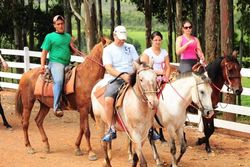 A imagem mostra um grupo de quatro pessoas montadas a cavalo em uma trilha de terra cercada por árvores. Os cavalos estão andando calmamente, e as pessoas parecem estar participando de um passeio guiado. À esquerda, há um homem de camisa verde e boné, e à direita, uma mulher de regata rosa e óculos de sol. O grupo está cercado por uma cerca branca e uma fileira de árvores altas. A atmosfera é tranquila, com todos os cavaleiros parecendo concentrados e desfrutando do passeio em um ambiente natural. Esse é o Hotel Fazenda Poços de Caldas, um dos hotéis-fazenda em Minas Gerais.