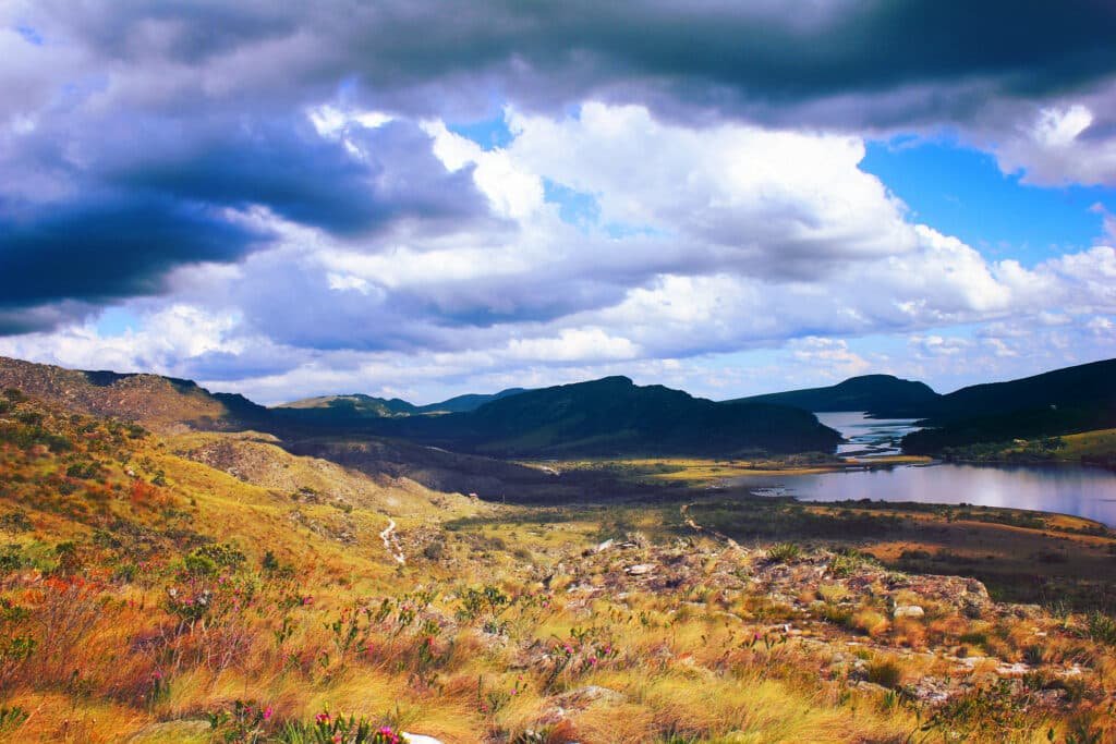 paisagem de um campo a céu aberto com muitas flores e grama alta e seca. Ao fundo, no canto direito há um lago e uma represa entre as montanhas atrás. Há também muitas nuvens escuras fazendo sombra no vale.