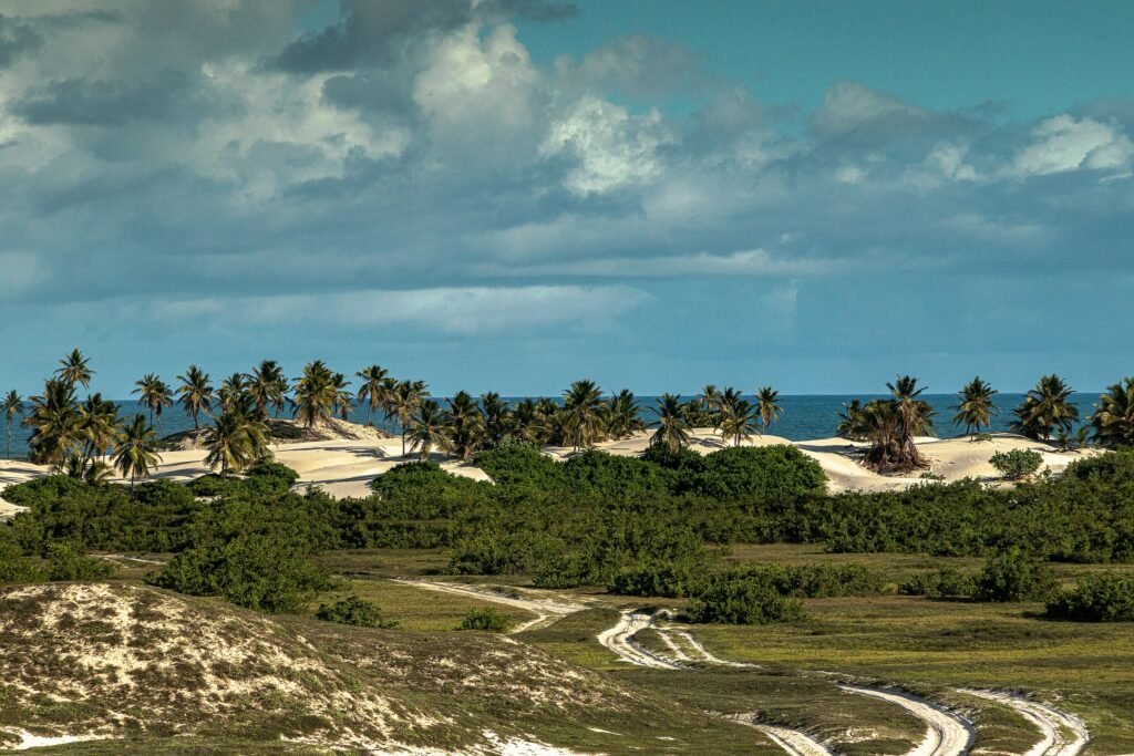 Área de proteção ambiental em Mangue Seco, última cidade para reservar pousadas na Linha Verde, na Bahia