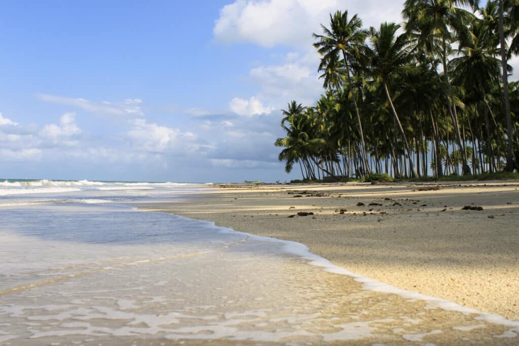 Praia dos Carneiros