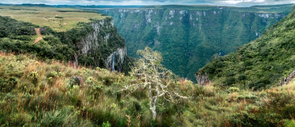Aparatos da Serra, com montanhas verdes, muita vegetação e pequenas trilhas